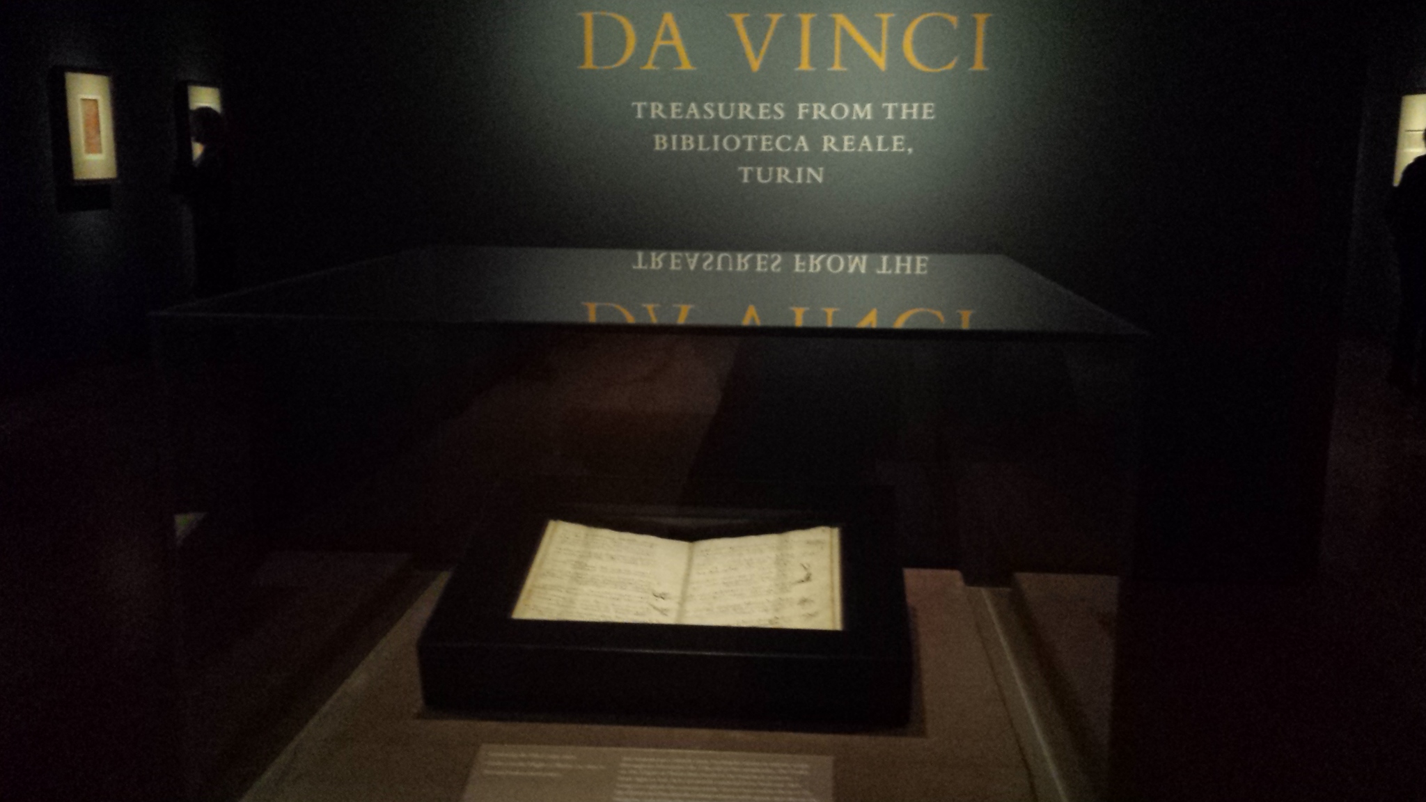 Codice sul volo degli uccelli