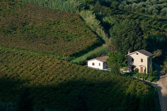 vigneti chietini