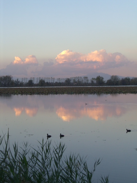 Il lago di Mantova in autunno