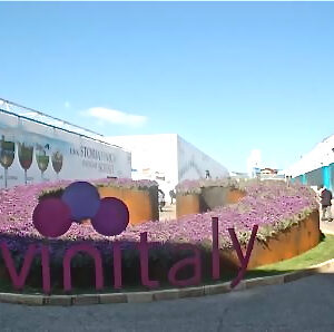 Renzi, stranezze e innovazione... in un mare di vino. Chiude la 48ª edizione di Vinitaly
