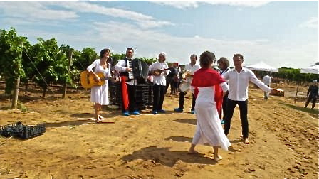 Itinerari Italia / In Puglia la vendemmia è donna