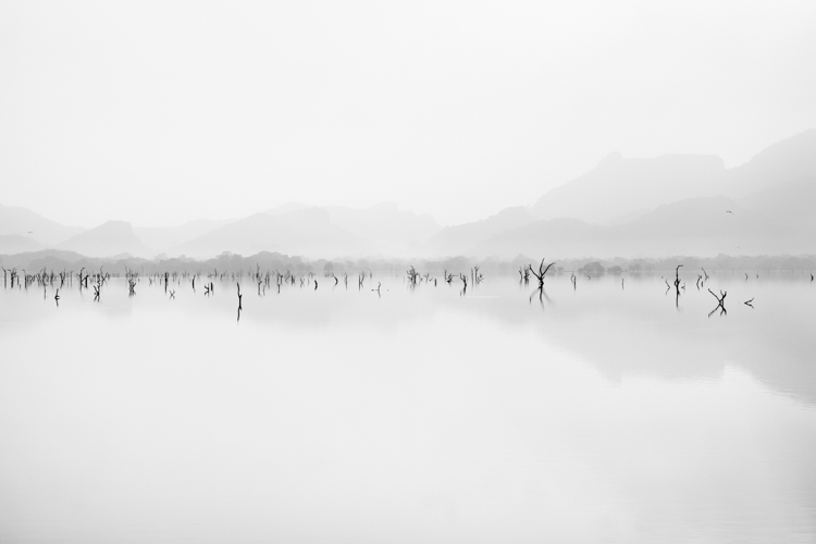 paesaggio