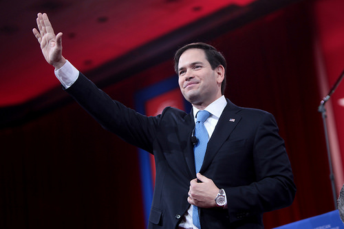 Marco Rubio: Il candidato di scorta