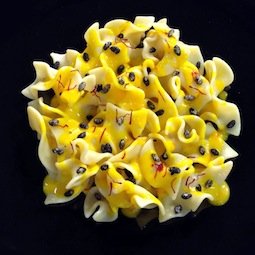 Trucioli