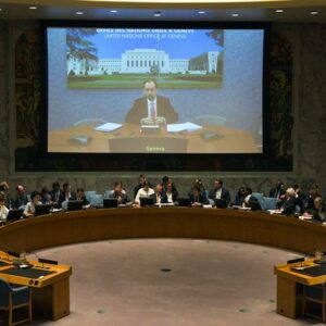 Genocidio di Srebrenica: venti anni dopo l'ONU resta divisa e debole L'Alto Commissario ai Diritti Umani dell'ONU Zeid Ra'ad Al Hussein parla al Consiglio di Sicurezza in video conferenza da Ginevra (Foto ONU UN/Eskinder Debebe)