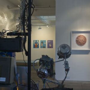 No parking: uno scambio culturale in nome dell'arte