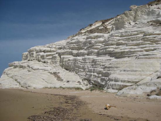torre salsa
