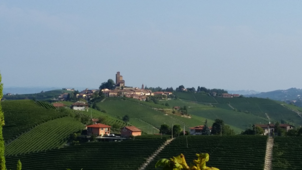Il Castello di Serralunga dal Boscareto_