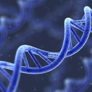 EPIGEN: il futuro della salute (e non solo) nell'epigenetica e nell'epigenomica